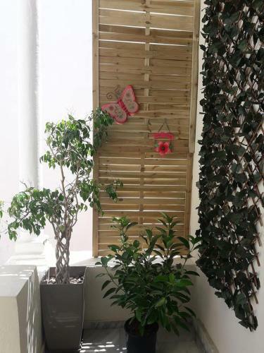 Apartamento Beautiful City Center Flat