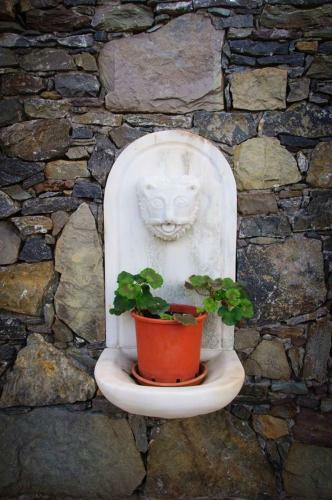 Apartamento Jasmine House