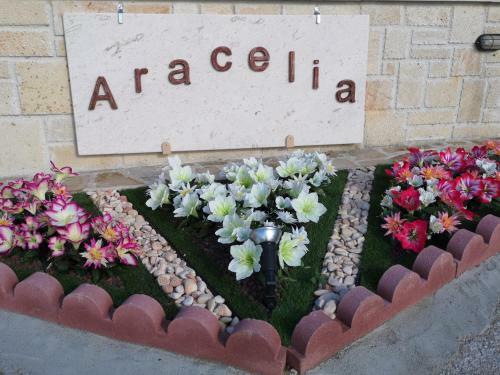 Aracelia Casas De Verano