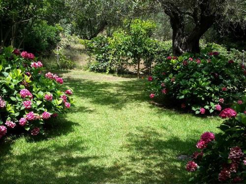 Apartamento Villa Galini