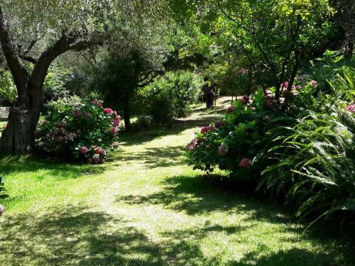 Apartamento Villa Galini