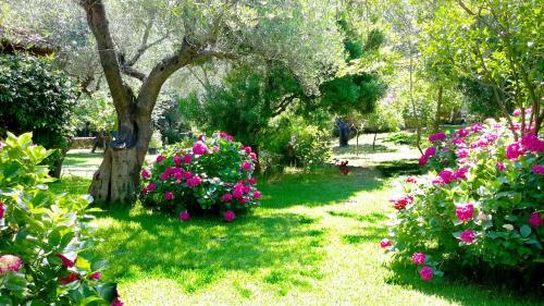 Apartamento Villa Galini