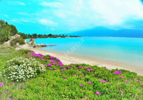 Villa Beyond Paradise