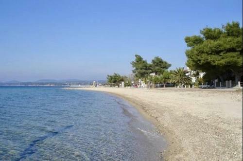 Beach House Nikiti
