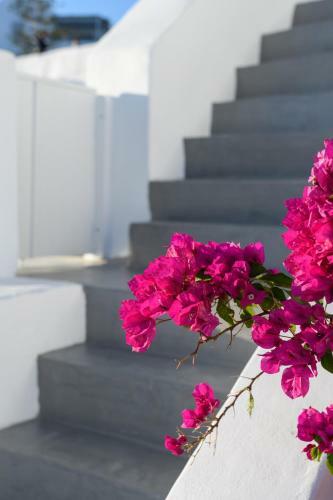 Hotel Echoes Luxury Suites By Canvas
