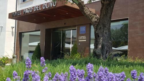 Hotel Pago Del Olivo