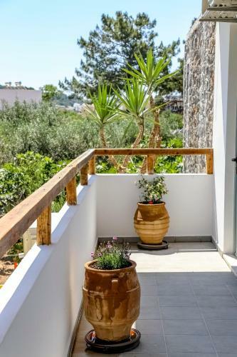 Apartamento Pefkos Eye