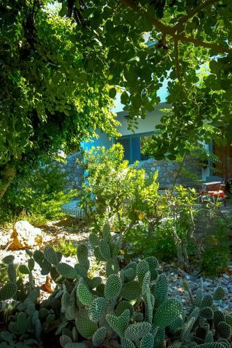 Apartamento Pefkos Eye