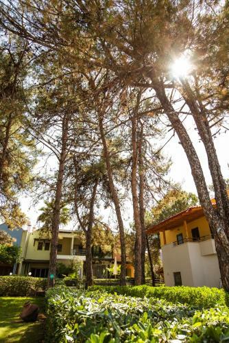 Villa #luxlikehome A&m Summer Home