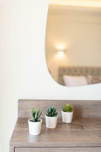 Apartamento Plateia Rooms