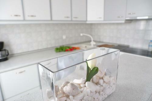 Charming Pasalimani Apartment