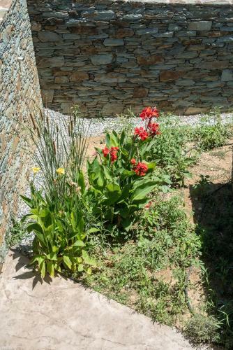 Skinammos Eco Villas