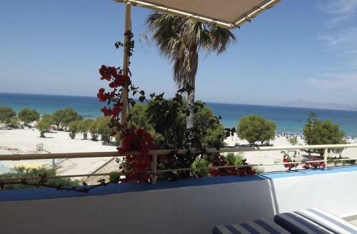 Apartamento Irene Studios