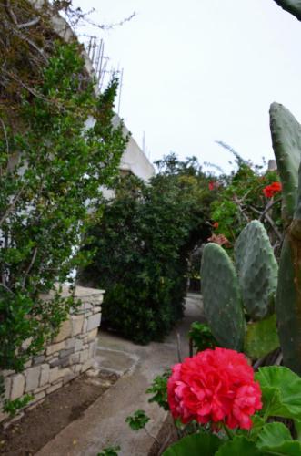 Apartamento Odysseas Bungalows