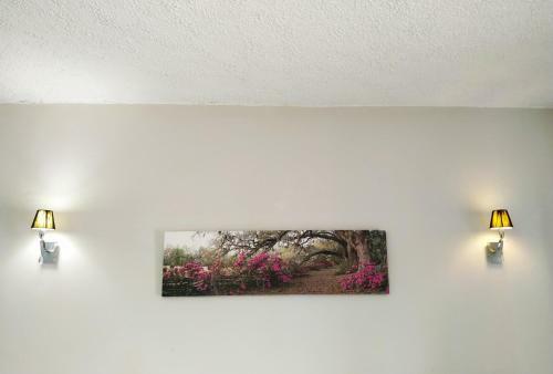 Amaryllis Boutique Apartments
