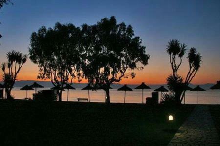 Amaryllis Boutique Apartments