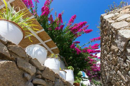 Villa Casa Cozy