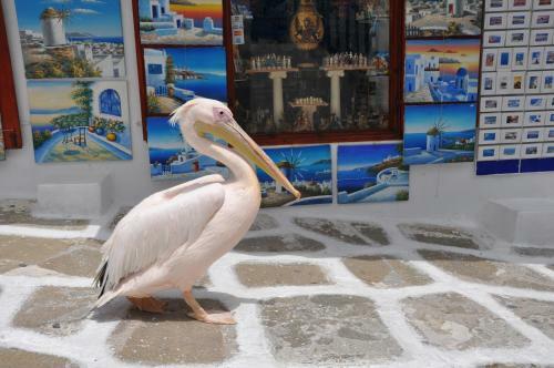 Apartamento Bleland Mykonos