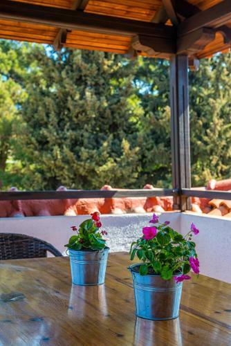 Bed & Breakfast Georgalas Sun Beach Rooms