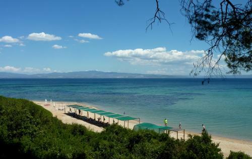Apartamento Villa Oasis