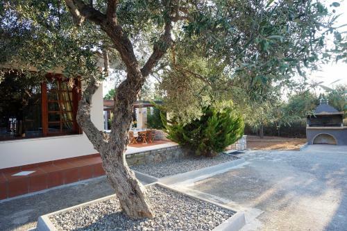 Villa Thealassa
