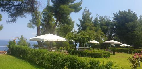 Angelikis House
