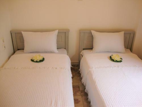 Villa Thea Marina