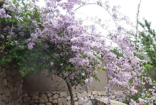 Bed & Breakfast La Capilla Lodge