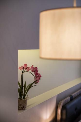 Hostal Viaggio Elegant Rooms