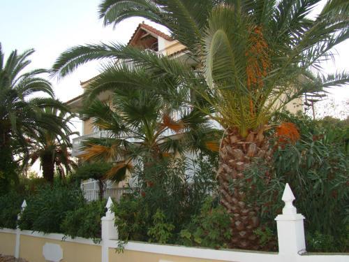 Apartamentos Athina Studios