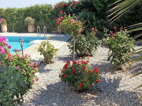 Beautiful Villa Near Sea In Loutra