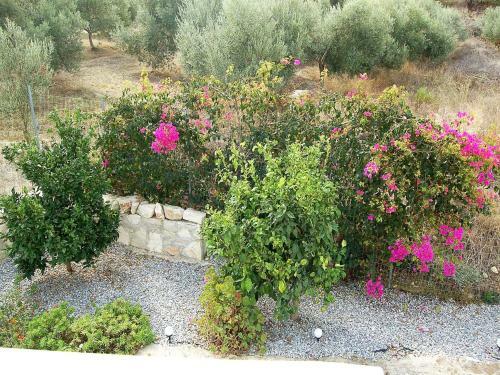 Beautiful Villa Near Sea In Loutra