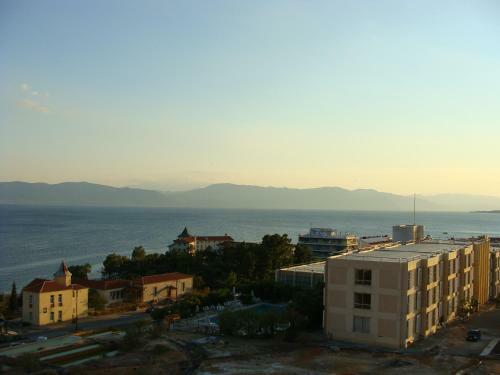 Hostal Rodon
