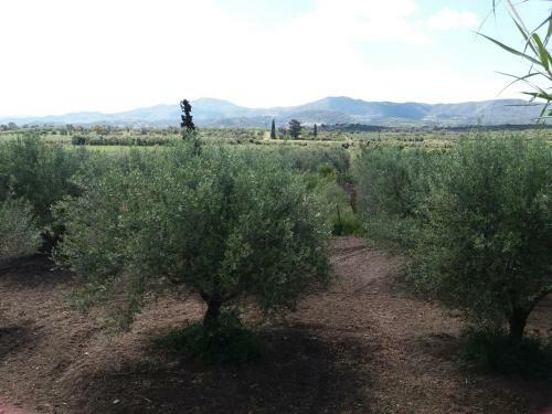 Apartamento Irini - Assimina