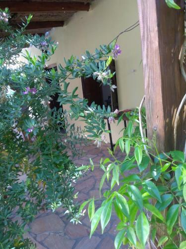 Apartamento Irini - Assimina