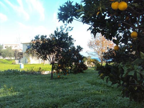 Apartamento Villa Nostos