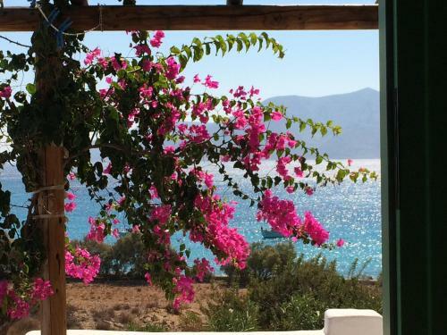 Apartamento Apollon Koufonisia Studios