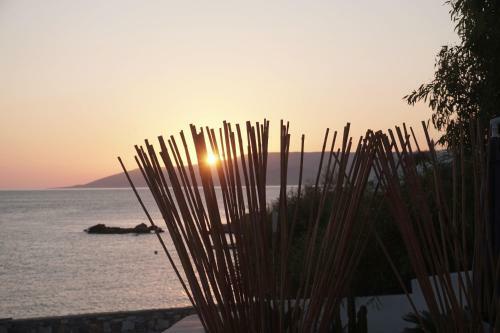 Apartamento Pyrthea Houses