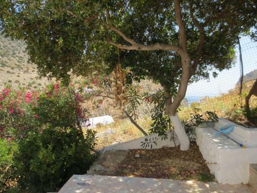 Hostal Pension Manolis