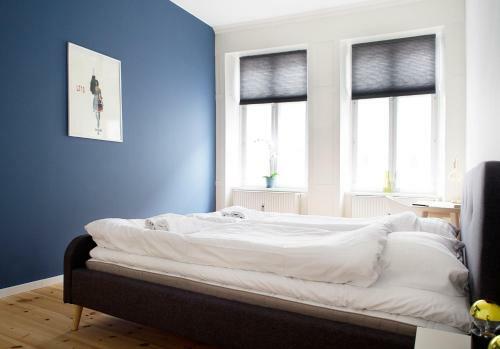 Spacious Apartments In Copenhagen Centre