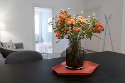 Spacious Apartments In Copenhagen Centre