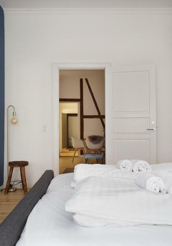 Spacious Apartments In Copenhagen Centre