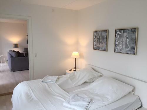 Cph Lux Apartment St.tv