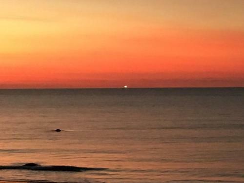B&B By The Sea Hirtshals
