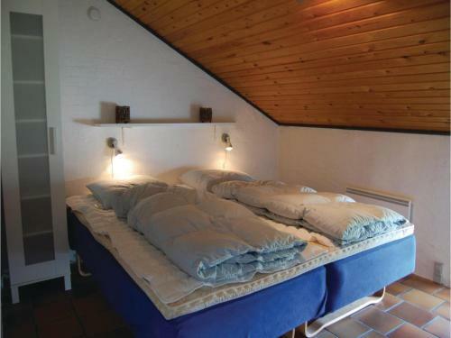 Five-bedroom Holiday Home In Thisted