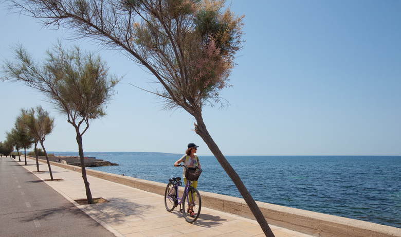 Hotel Js Palma Stay