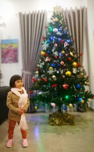 Hotel Amia Dalat