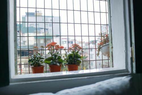 Apartamento Ant Homestay