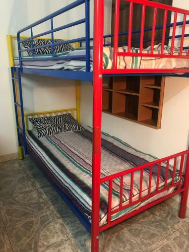 Apartamento Aloo? House