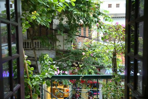 Hay Hostel